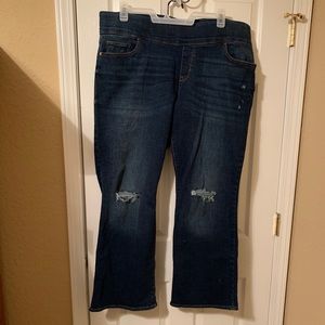 NWOT Distressed jeans sz 22